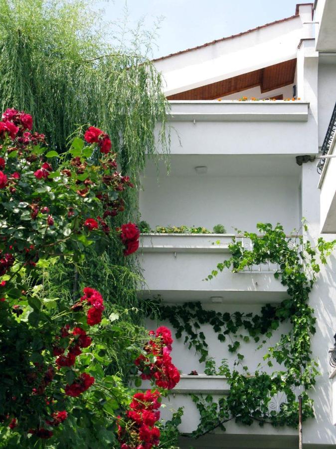 Guest House Barbov 奥布佐尔 外观 照片