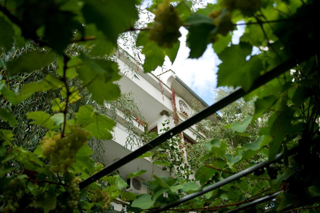 Guest House Barbov 奥布佐尔 外观 照片