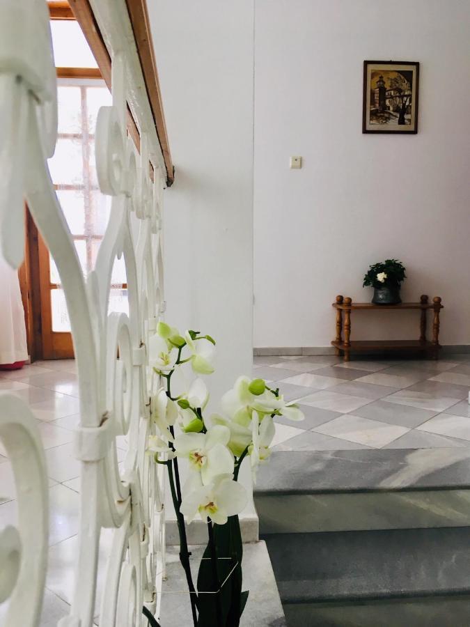 Guest House Barbov 奥布佐尔 外观 照片
