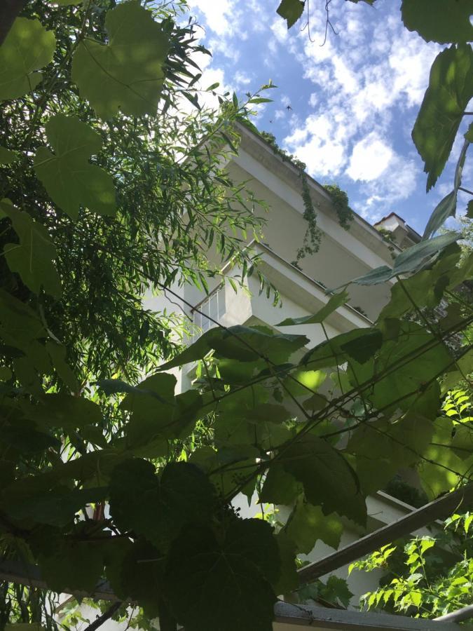 Guest House Barbov 奥布佐尔 外观 照片